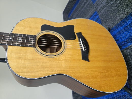 Taylor Guitars - 317E 2
